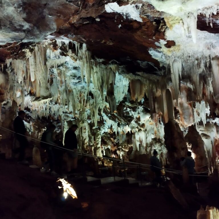 IMG-20240229-WA0019
