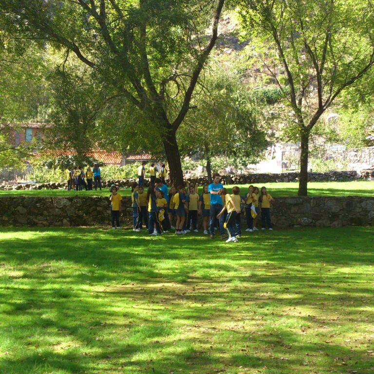 Campamento Imagina Cosas Divertida Juegos