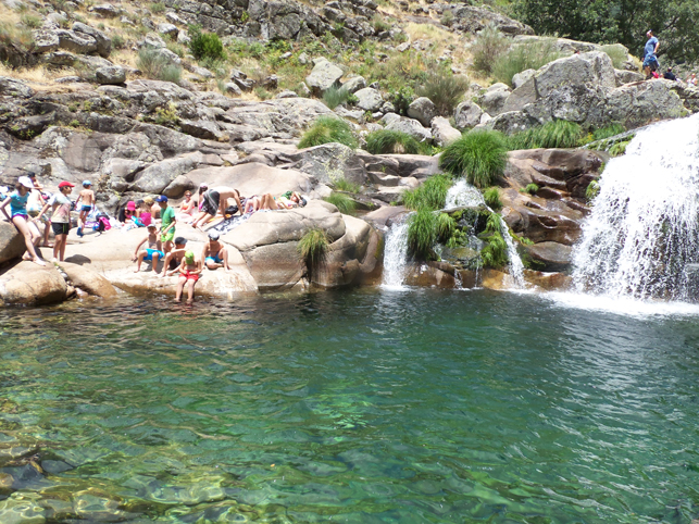 Campamento Imagina Cosas Divertida Comidas