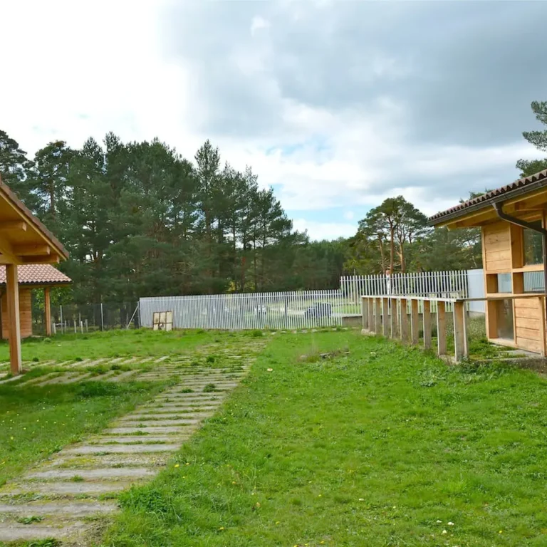 Aulas de Naturaleza. Regumiel