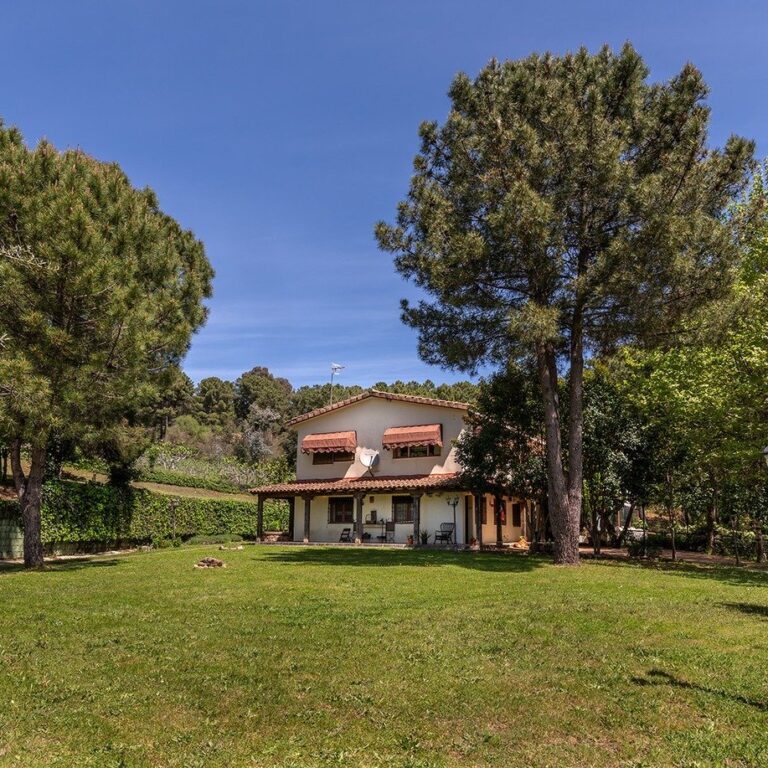 Bosque de la Herrezuela