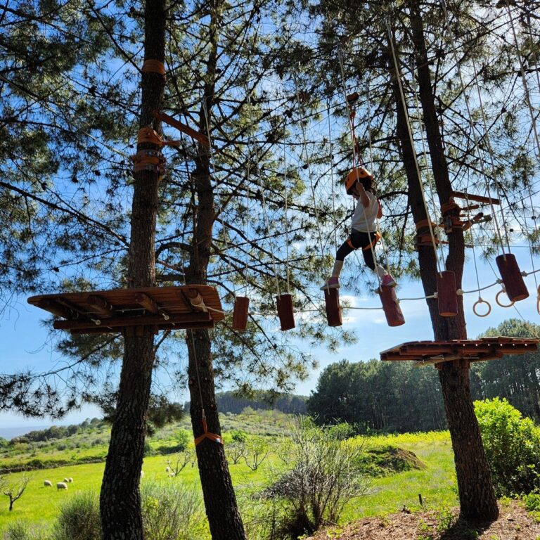 Multiaventura Imagina Cosas Divertidas